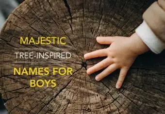 Nomes para meninos inspirados em árvores majestosas
