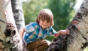 menino sobe em uma árvore