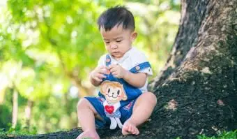 Nomes para meninos inspirados em árvores majestosas