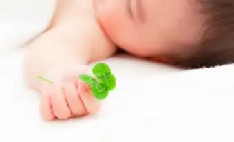 Koniczyna w chłopcu