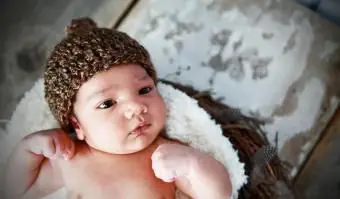 Nouveau-né dans le nid