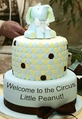 Cirkusová torta