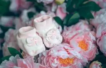 Różowe botki w kolorach piwonii