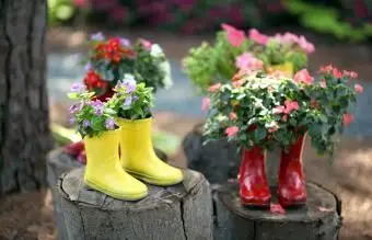 Śliczne kalosze używane jako donice do kwiatów