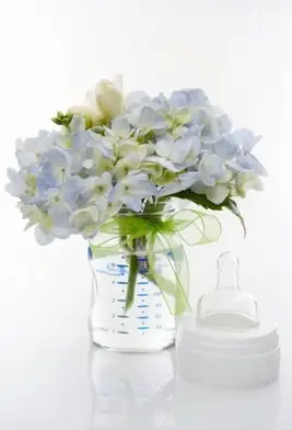 Hortensja w butelce dla niemowląt