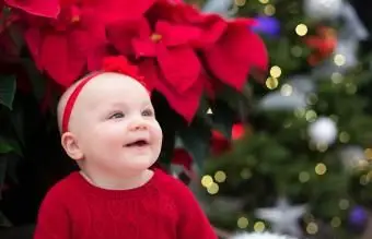 Dziecko siedzące pod czerwoną poinsecją