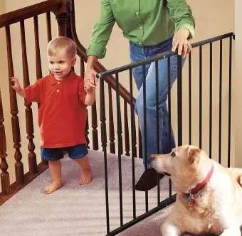 Evenflo Easy Walk Thru Doorway Gate