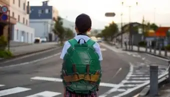 Los mejores lugares para comprar una mochila de caparazón de tortuga