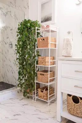 Emma's Master Bathroom Renovation