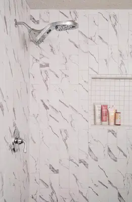 Emma's Master Bathroom Renovation