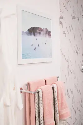 Emma's Master Bathroom Renovation