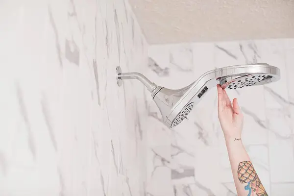 Emma's Master Bathroom Renovation