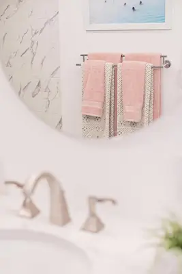 Emma's Master Bathroom Renovation