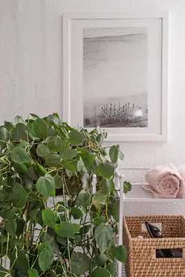 Emma's Master Bathroom Renovation