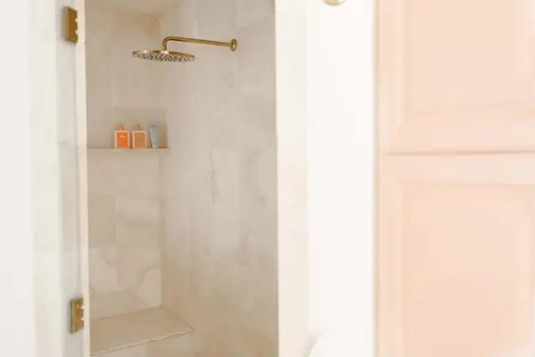 inside of shower with gold shower head