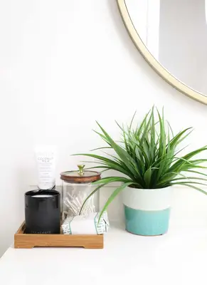 Setting Up the Perfect Guest Bathroom