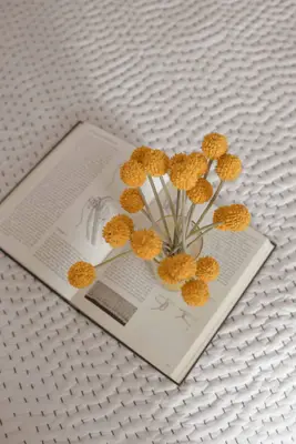 How to Set up the Ultimate Airbnb Space