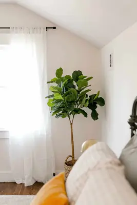 Elsie's Nashville BnB Master Bedroom Tour