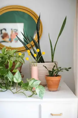 Green and White Main Bedroom Before + After