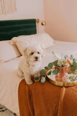 Keely's Bedroom Makeover (Before + After!)