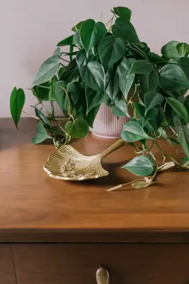 Keely's Bedroom Makeover (Before + After!)