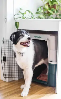 Hidden Dog Kennel - Custom Cabinet DIY
