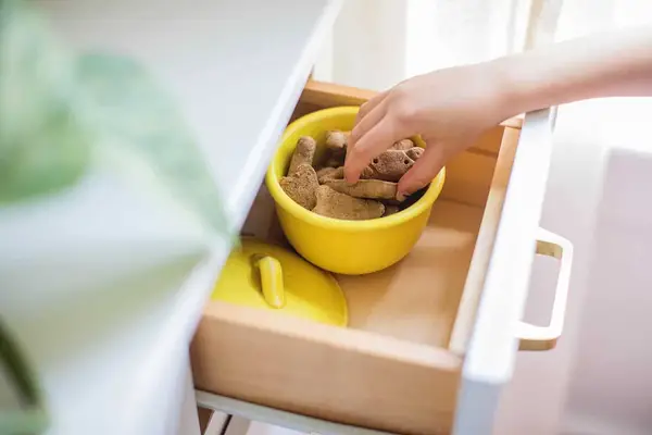 Hidden Dog Kennel - Custom Cabinet DIY