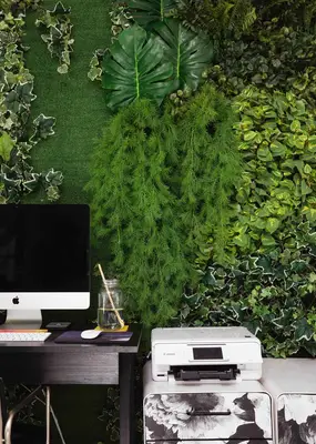 Living Wall Home Office Tour