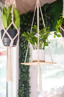 Living Wall Home Office Tour