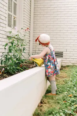 Exterior + Landscaping Updates