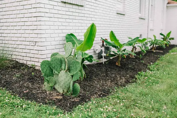 Exterior + Landscaping Updates