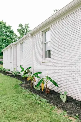 Exterior + Landscaping Updates