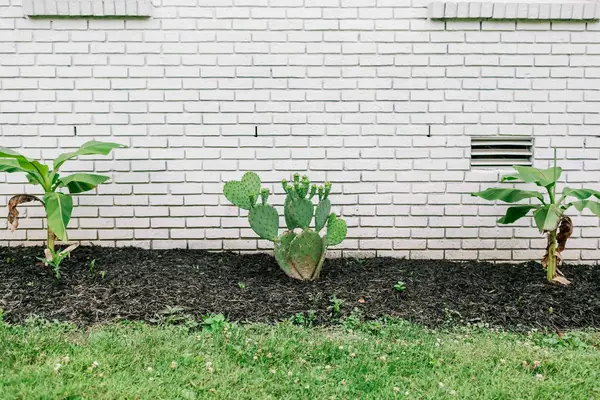 Exterior + Landscaping Updates