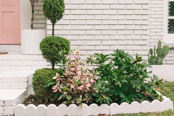 Exterior + Landscaping Updates