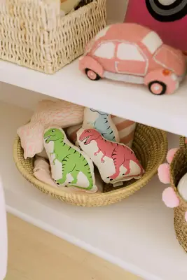 Nova's Playroom Reveal