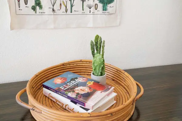 Holiday House Living Room Before & After