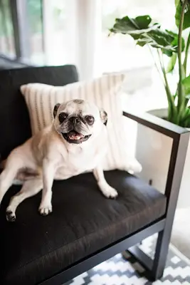 Emma's Backyard Patio Refresh