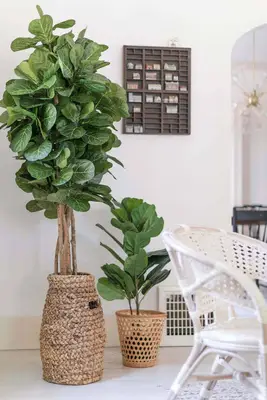 Holiday House Formal Living Room Before & After