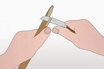 Peitschentransplantat Schritt 3