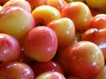 žlté daždivejšie čerešne