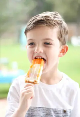 Make Your Own Healthy Mandarin Orange Cream Popsicles