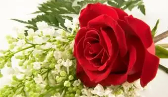 Fleurs funéraires bon marché