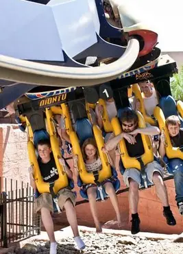 מדריך לתחתיות הרים של בוש גארדנס