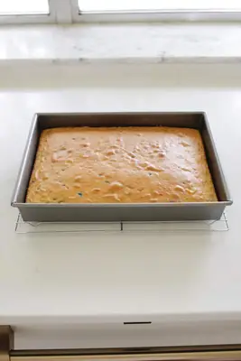 baked cake for cake pops