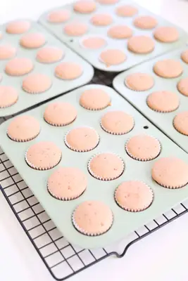 Rosé Champagne Mini Cupcakes