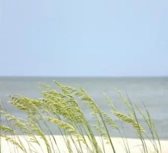 3 Gulf Shores Wohnmobilstellplätze für einen komfortablen Campingurlaub