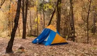 Pine Flat Campground