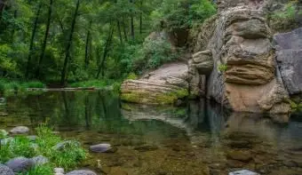 Cave Springs Campground