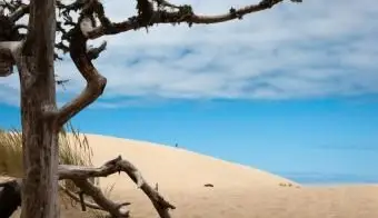 オレゴンデューンズNRA