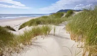 Os 5 melhores acampamentos da costa de Oregon: dê-se ao luxo de uma escapadela única